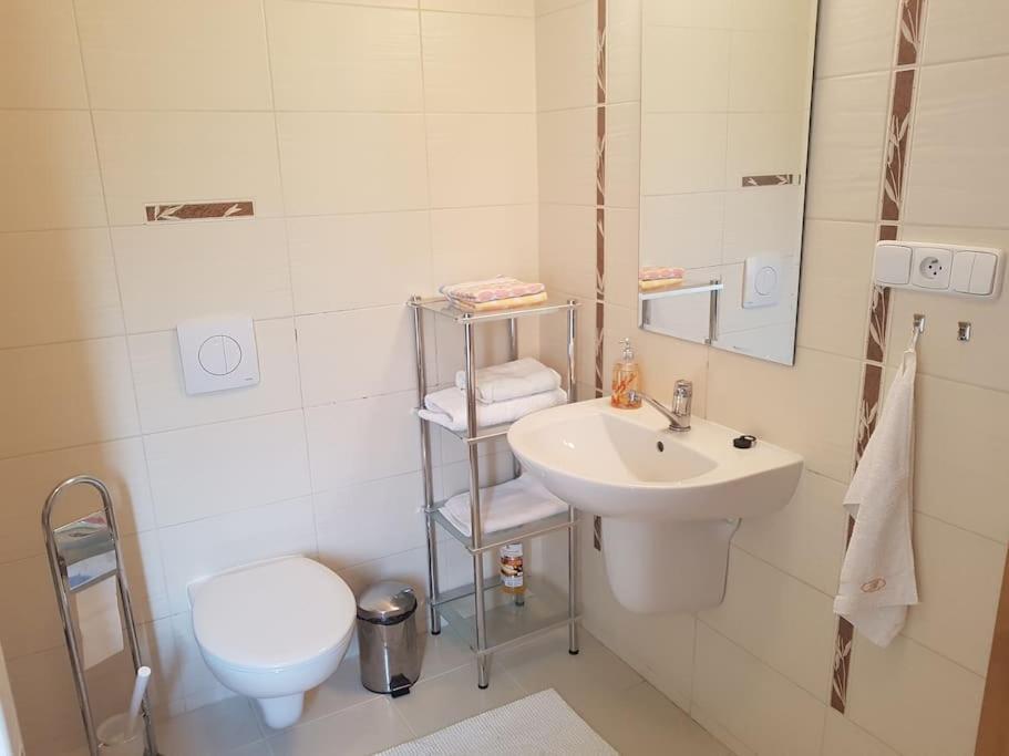 Apartman Pod Tatrami Нова Лесна Екстер'єр фото